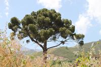 Unterwegs im Trodosgebirge