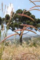 Unterwegs im Trodosgebirge