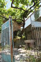 Dorfspaziergang im Trodosgebirge