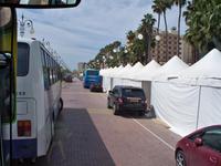 doch zuvor schlengeln wir uns mit dem Bus durch einen schmalen Weg an der Palmenpromenade