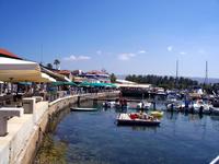malerische Hafen von Pafos