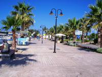 Heute erkunden wir zu Fuß und individuell die Stadt Pafos