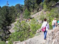 Ein herrlicher Weg und immer die Sonne dabei.