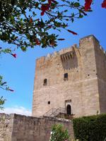 ... zur Johanniterburg in Kolossi.