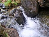Sind das schon die Wasserfälle? Nein, weiter geht es...
