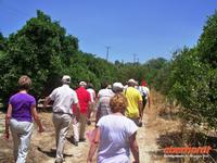 Alle sind wieder munter bei unserem Stopp auf der Zitrusplantage