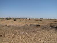 trockene Landschaft am Bárnabas-Kloster
