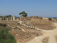 Ausgrabungsstätte von Salamis