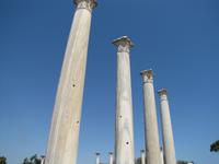 Ausgrabungsstätte von Salamis