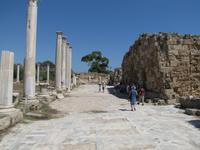 Ausgrabungsstätte von Salamis