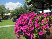 Hotel Rodon in Agros