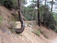 Wanderung zu den Kaledonia-Wasserfällen