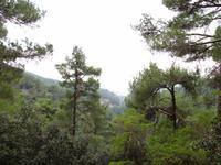 Wanderung zu den Kaledonia-Wasserfällen