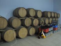 Weinverkostung in einer lokale Kelterei