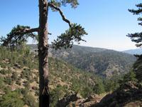 Fahrt durch Trodosgebirge