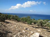 Spaziergang durch das Naturschutzgebiet Akamas