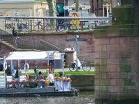 Hochzeitsbilder am Main