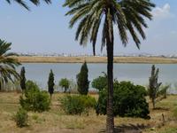 Blick über Salzsee auf Larnaca