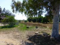 ansehnliche Natur run um das St. Barnabas-Kloster