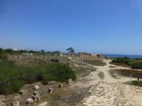 Salamis Ausgrabungen