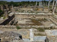 Salamis Ausgrabungen