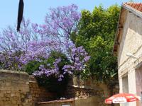 überall blüt und duftet es schön