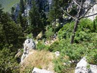 der Abstieg fiel deutlich leichter als der Aufstieg