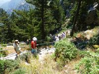 schnell wieder runter, die Höhenluft säubert sonst noch die Stadtlungen ;)