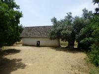 ... man verwechselt die Kirchen gern mit Ställen 