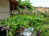 der Wein spriest nur so