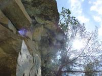 Perspektive von Sonnenplatz einer Echse - lässt sich aushalten