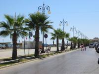 Palmenpromenade in Larnaca