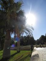 Parkanlage der St. Grobius-Kathedrale