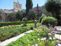 Park der Abtei Bellapais