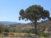 Blick auf kleines Dorf im Troodosgebirge