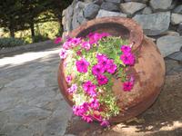 Garten hinter dem Hotel 