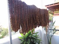 Mandelketten in Süßwarenfabrik in Agros