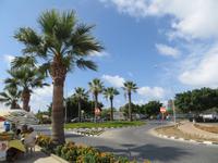 Hafen von Paphos