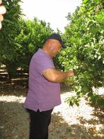 Besuchd einer Obstplantage