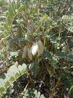 Wanderimpessionen in Agros