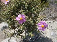 Wanderimpessionen in Agros