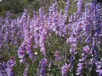  Wanderimpessionen in Agros