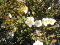 Wanderimpessionen in Agros