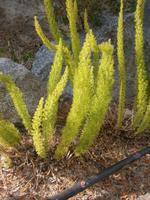 Wanderimpressionen in Agros