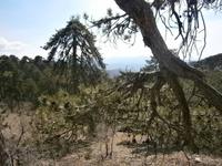 Wanderung am Olympus