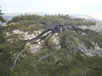 Wanderung am Olympus