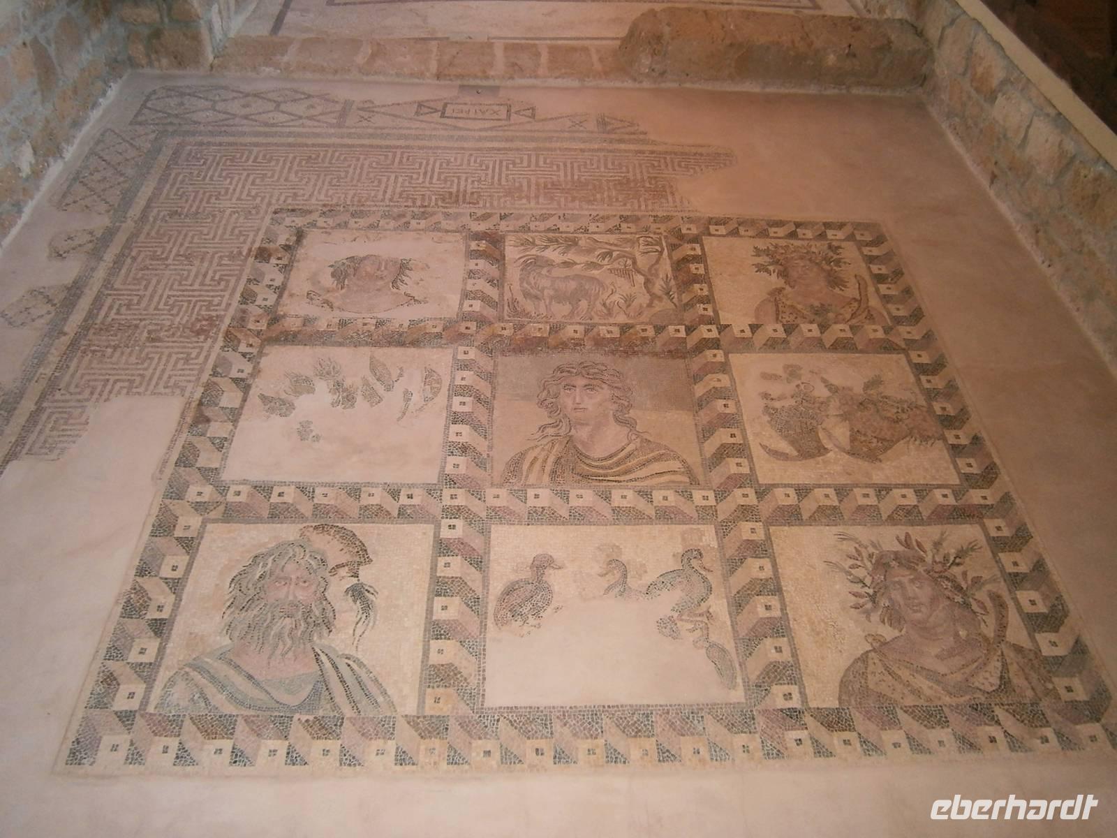 Haus des Dionysos - Bodenmosaik