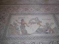 Haus des Dionysos - Bodenmosaik