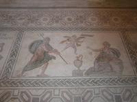 Haus des Dionysos - Bodenmosaik