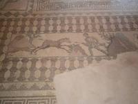 Haus des Dionysos - Bodenmosaik